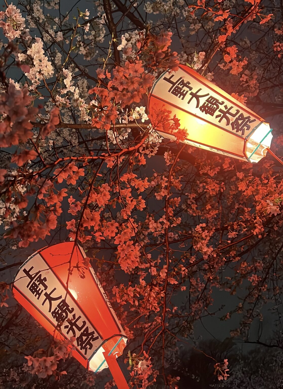 アイリブログ ‎🤍 - 新橋 セクキャバ おっパブ いちゃキャバ JSTYLE ジェイスタイル