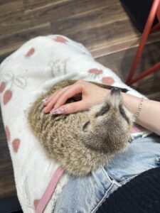 モモブログ いやほい
